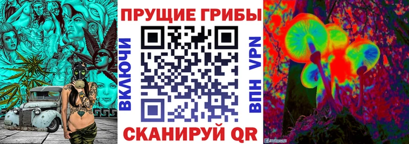 Галлюциногенные грибы GOLDEN TEACHER  цены наркотик  Киржач 